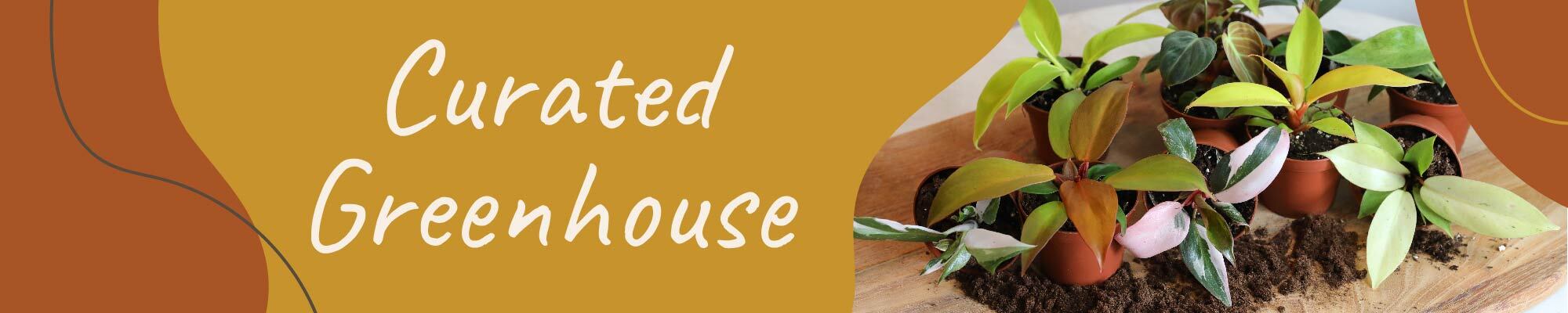 Website_Graphic_Curated Greenhouse Header 2000x400 Website_Graphic_Curated Greenhouse Header 2000x400