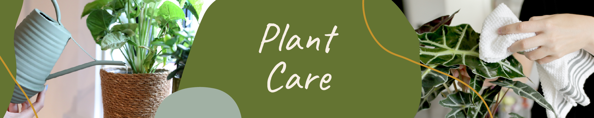 Website_Graphic_Headers Website_Graphic_Headers