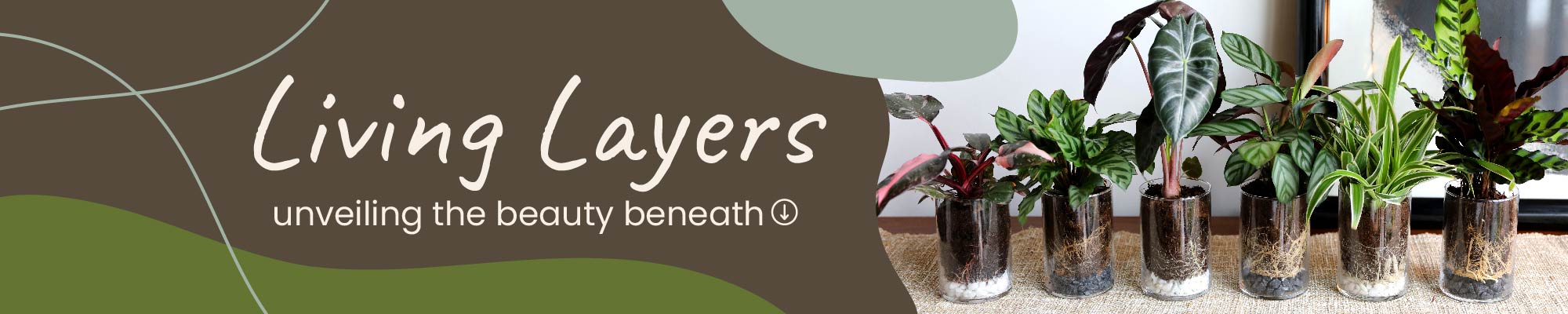 Website_Graphic_Living Layers Header 2000x400 Website_Graphic_Living Layers Header 2000x400