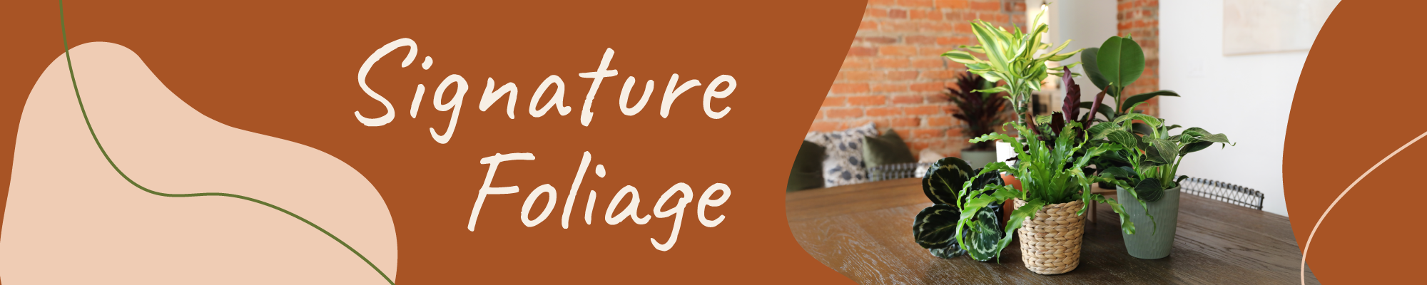 Website_Graphic_Signature_Foliage_Header Website_Graphic_Signature_Foliage_Header