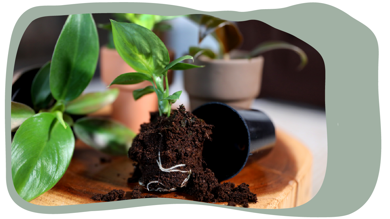 Website_Graphic_template_test-1 Website_Graphic_template_test-1